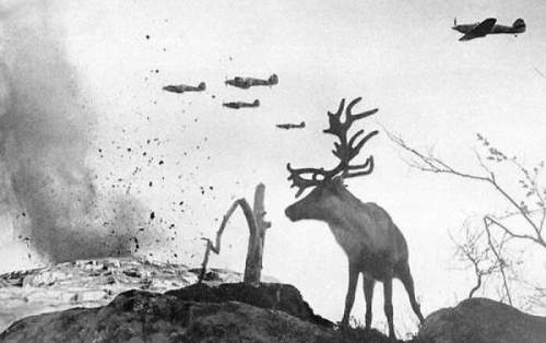  Контуженный северный олень наблюдает, как военные самолеты сбрасывают бомбы на Россию в 1941 году