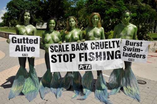 Обнаженные активистки "PETA" протестуют против убийства рыб