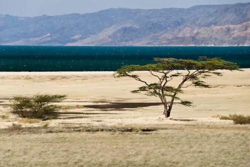 11. Ветреные берега озера Туркана в Кении. Это озеро расположено в Восточно-Африканской рифтовой долине. Его соленые воды образуют самое большое в мире озеро, расположенное на территории пустыни. (Photographer: Yannick Garcin)