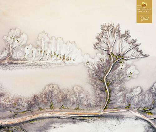 "Intricate" Таня Малкин. "Аэрофотоснимок, сделанный над поймами в Австралии, изображает пейзаж в ландшафте. Аллювиальные веера изображают деревья, холмы и облака"