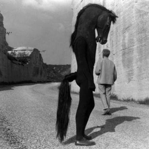 Костюм лошади из ?Завета Орфея? Жана Кокто, дизайн Жанин Жане, 1960 год.