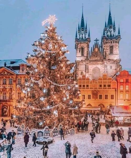  Зима в Праге