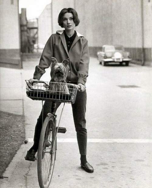 Одри Хепберн и ее собака Мистер Знаменитый. Фото Сида Эйвери, 1957 год.