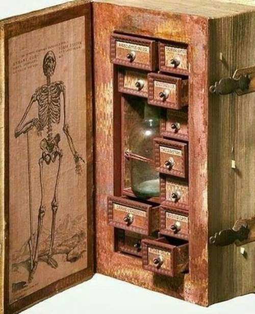  Ядовитый шкаф 17 века, замаскированный под книгу