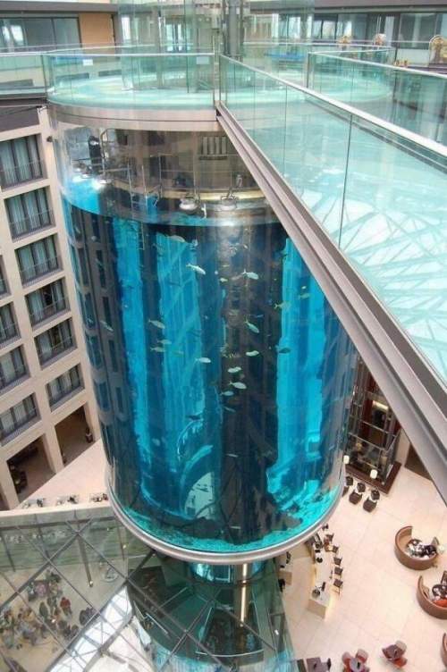 В Германии есть лифт с аквариумом внутри